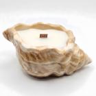 Sand / Wilde Pflaume, Rose, Patchouli