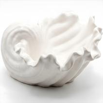 Design-Schale Muschel - Weiß