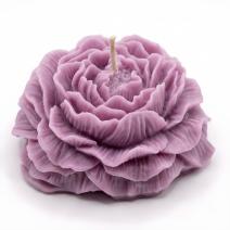 Duftkerze Pfingstrose - Violett / Lavendel